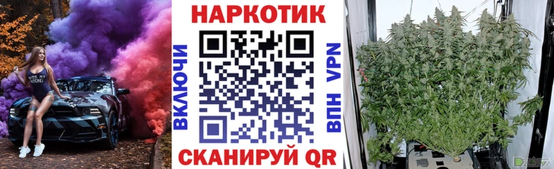 Гашиш Нелидово