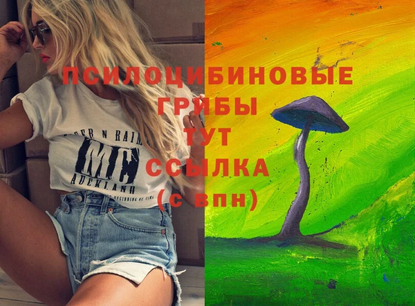 героин Абаза